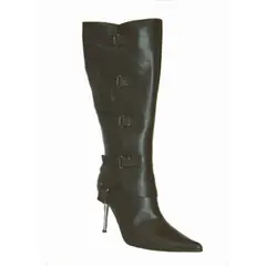 Example of a stylish ladies' boot